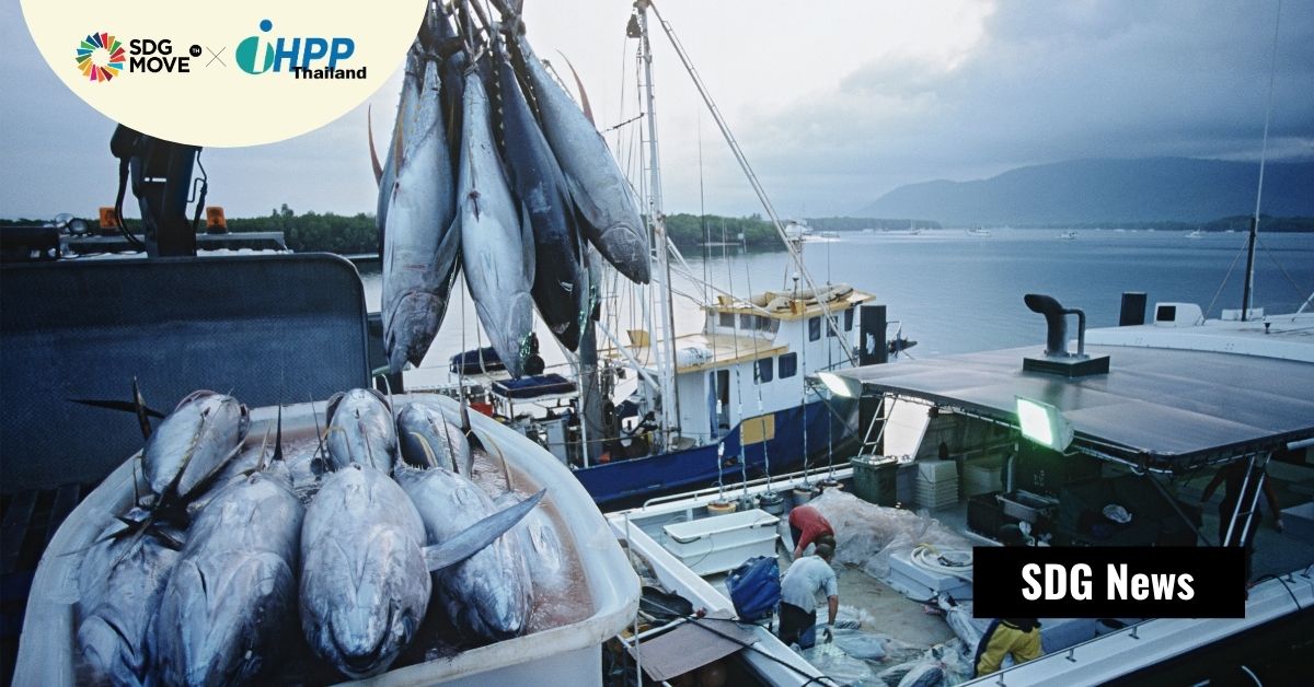 Global Tuna Alliance ย้ำความร่วมมือและวิสัยทัศน์ที่รับผิดชอบร่วมกันจะทำให้ทะเลไม่บอบช้ำและมีทูน่าพอสำหรับโลก