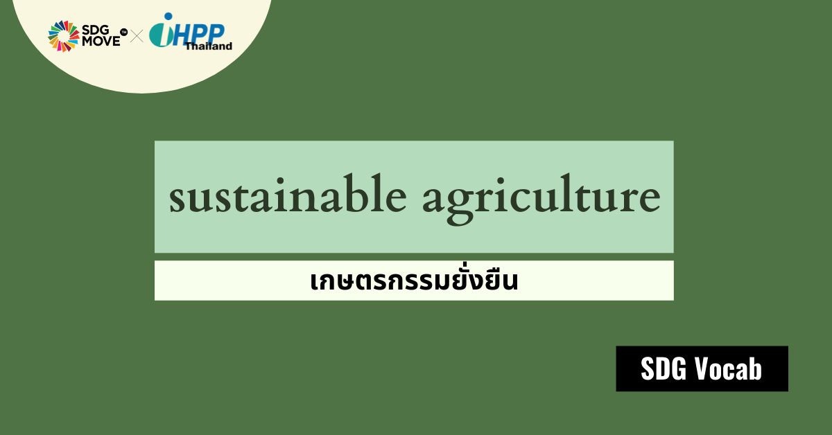 SDG Vocab | 06 – Sustainable Agriculture – เกษตรกรรมยั่งยืน