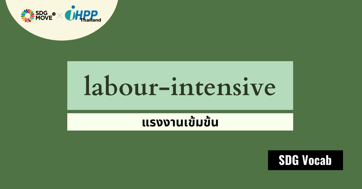 SDG Vocab | 22 – Labour-Intensive – แรงงานเข้มข้น