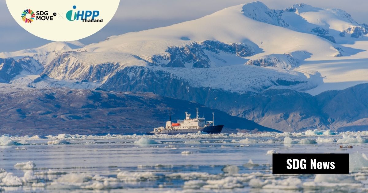 เมื่อน้ำแข็งในอาร์กติกละลายเปิดเส้นทางการเดินเรือขนส่งที่ถูกลง แต่ความเสียหายต่อระบบนิเวศยังอยู่เพราะภาวะโลกร้อน