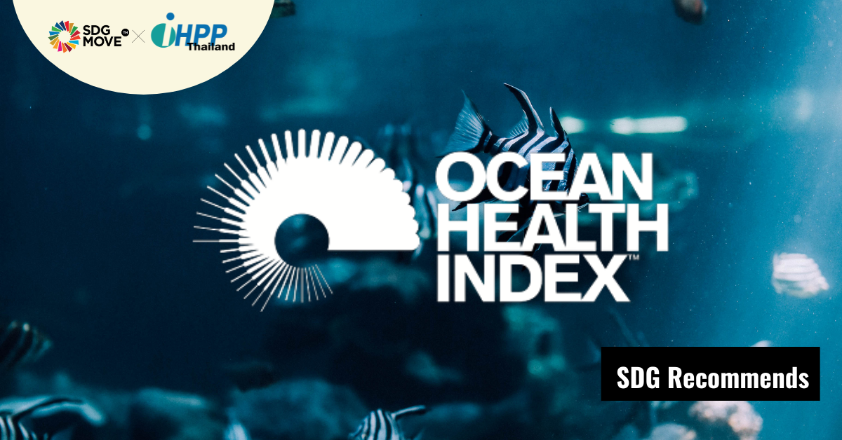 SDG Recommends | ดัชนีคุณภาพมหาสมุทร (Ocean Health Index: OHI) ตัวชี้วัดที่ช่วยบอกว่าระบบนิเวศทางทะเลของเราดีแค่ไหน