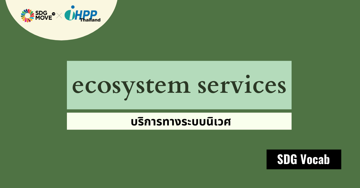 SDG Vocab | 49 – Ecosystem Services – บริการทางระบบนิเวศ