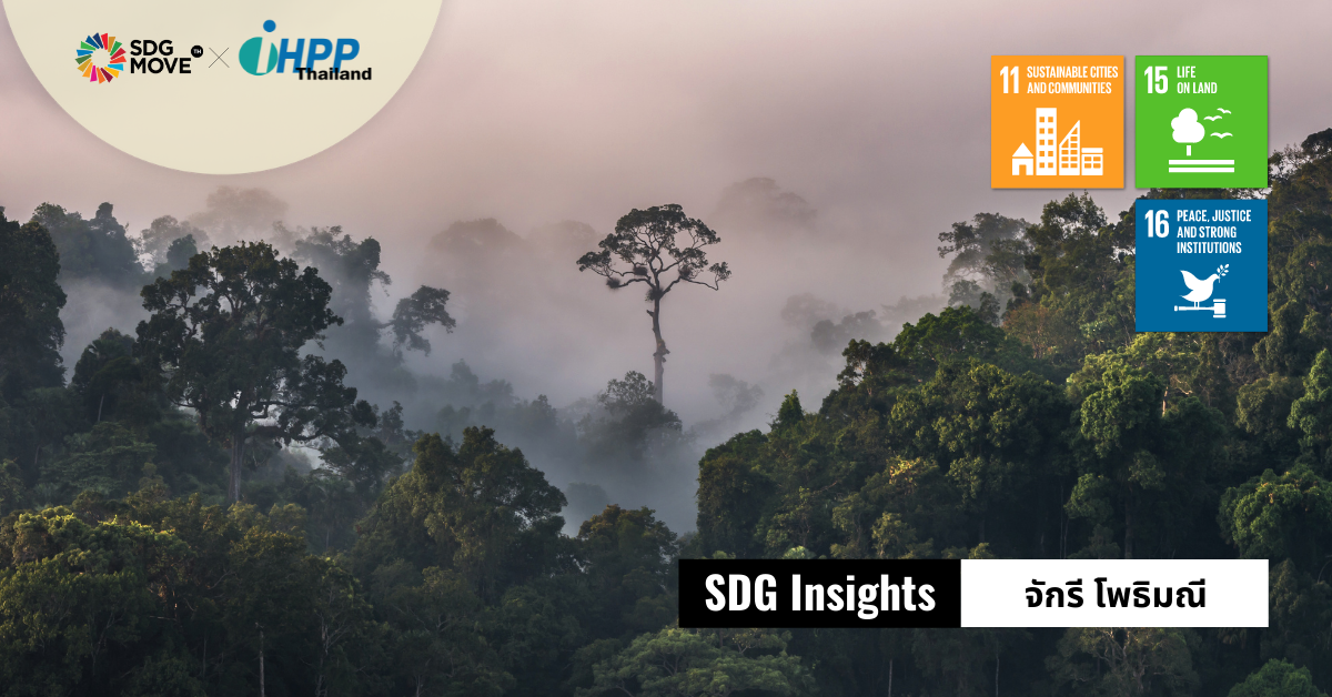 SDG Insights | ความน่าจะเป็นของมรดกโลกแบบผสมผสาน (Mixed Heritage) : กรณีกลุ่มป่าแก่งกระจาน