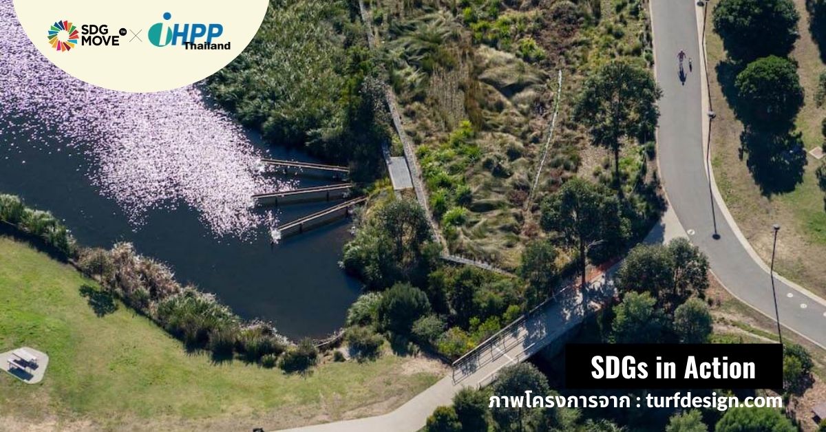 Sydney Park Water Re-use Project ความภูมิใจของซิดนีย์ในการกักเก็บ-บำบัดน้ำ กลับมาใช้ไหลเวียนเลี้ยงเมืองต้านภัยแล้ง