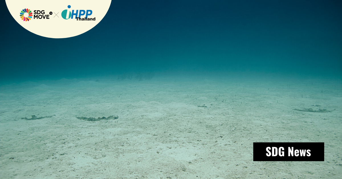 นักสมุทรศาสตร์ 22 ประเทศ เรียกร้องให้มีระบบติดตามระดับออกซิเจนในมหาสมุทร ป้องกันการเกิด Dead Zone
