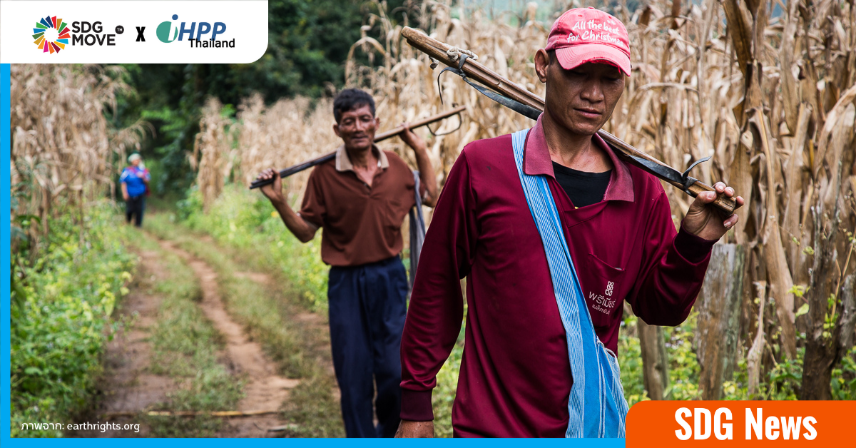 ILO รายงานสภาพการทำงานภาคเกษตรไทย พร้อมชี้แรงงานข้ามชาติ ยังเผชิญการจ้างงานที่ไม่เป็นธรรม