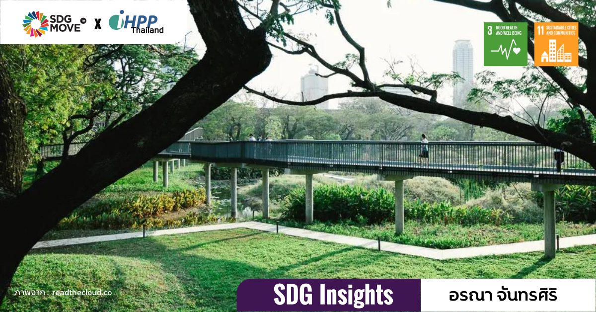 SDG Insights | พื้นที่สีเขียว หัวใจสำคัญของเมืองยั่งยืน