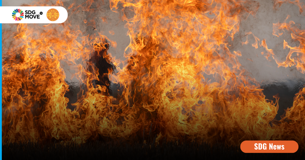 ฝุ่น-ไฟป่าใน 17 จังหวัดภาคเหนือ ยังน่ากังวล พบจุดความร้อนพุ่ง 3,285 จุด ท่ามกลางความเสี่ยง พ.ร.บ. อากาศสะอาด อาจไม่ได้ไปต่อ 